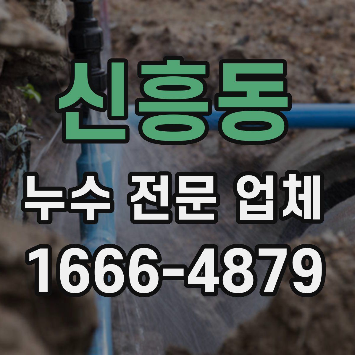 신흥동 누수 전문 업체