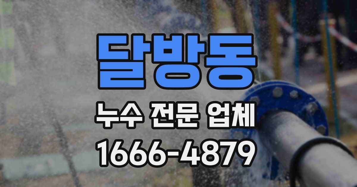 달방동 누수 전문 업체