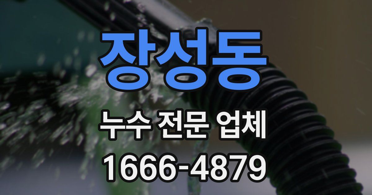 장성동 누수 전문 업체