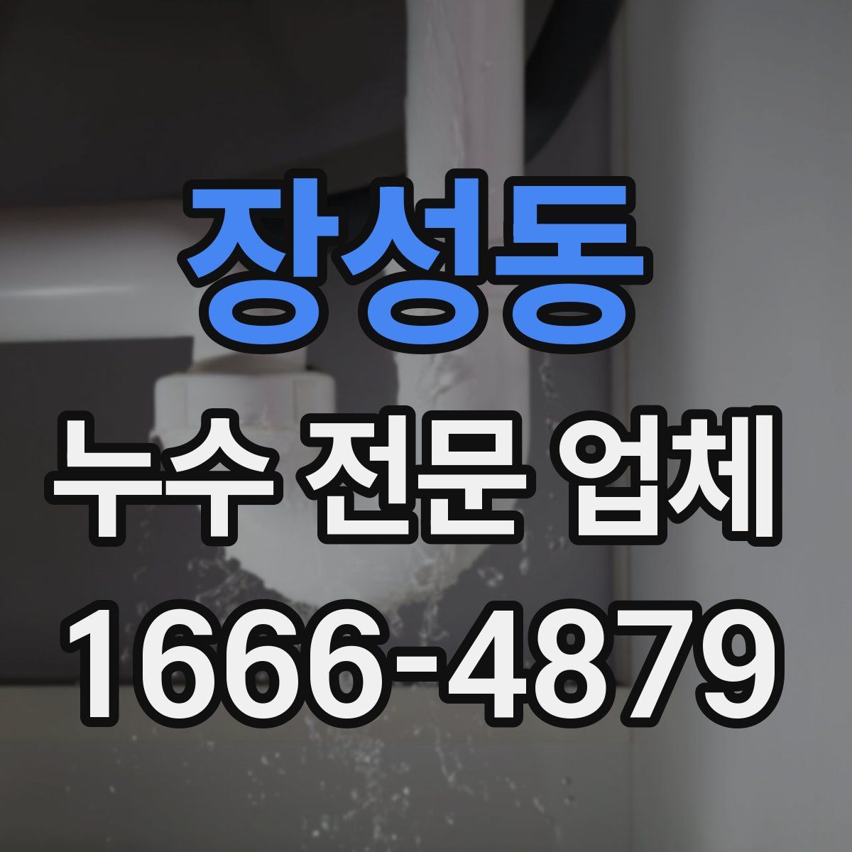 장성동 누수 전문 업체