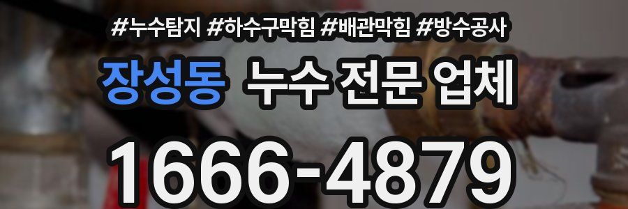 장성동 누수 전문 업체
