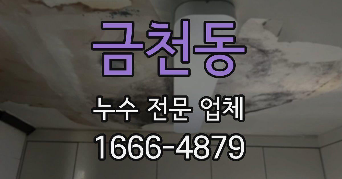 금천동 누수 전문 업체