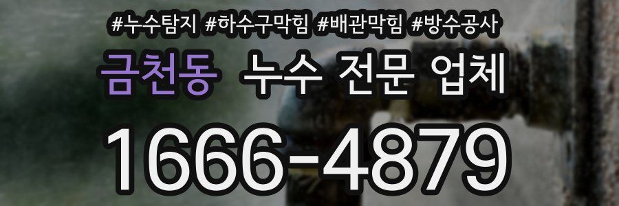 금천동 누수 전문 업체