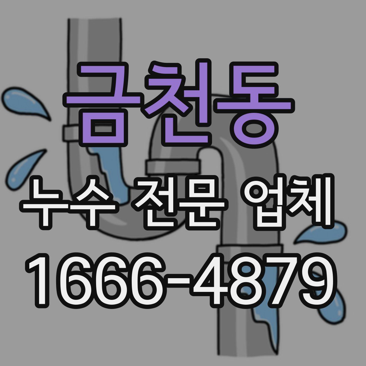 금천동 누수 전문 업체