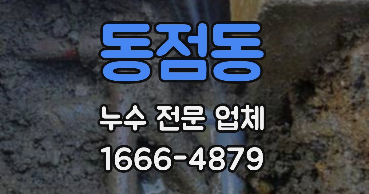 동점동 누수 전문 업체