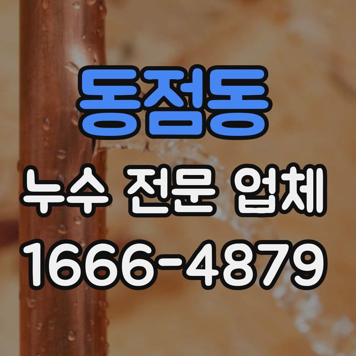 동점동 누수 전문 업체