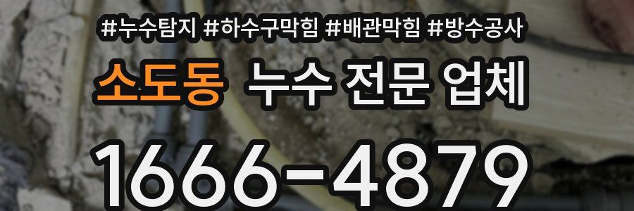 소도동 누수 전문 업체