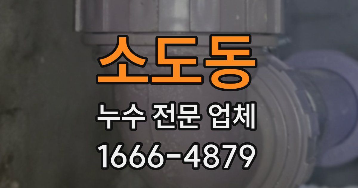 소도동 누수 전문 업체