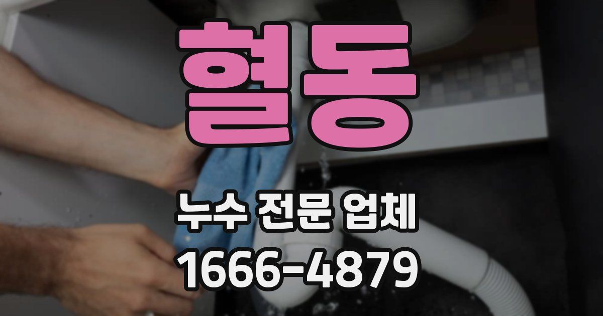 혈동 누수 전문 업체