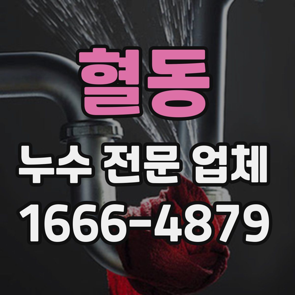 혈동 누수 전문 업체