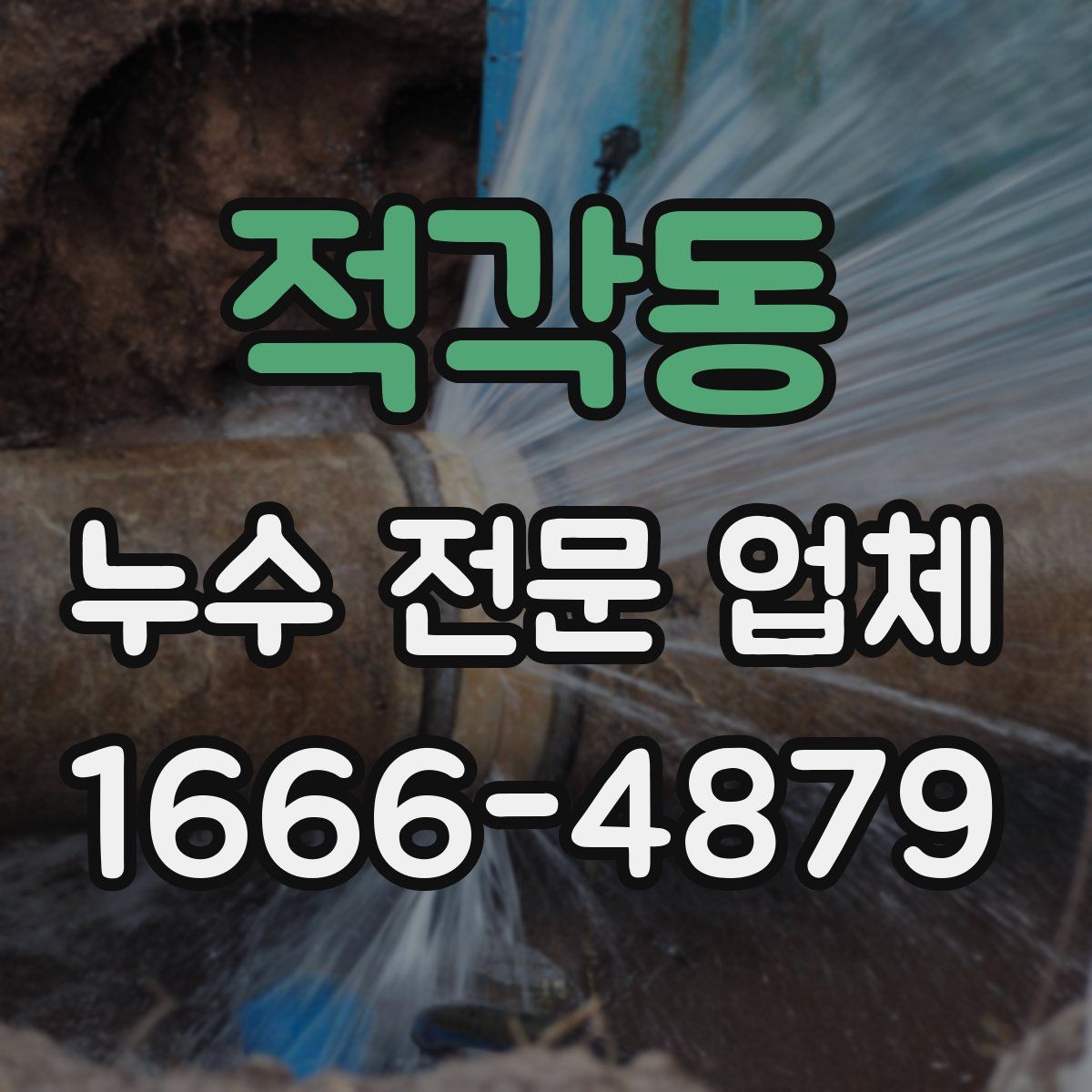 적각동 누수 전문 업체