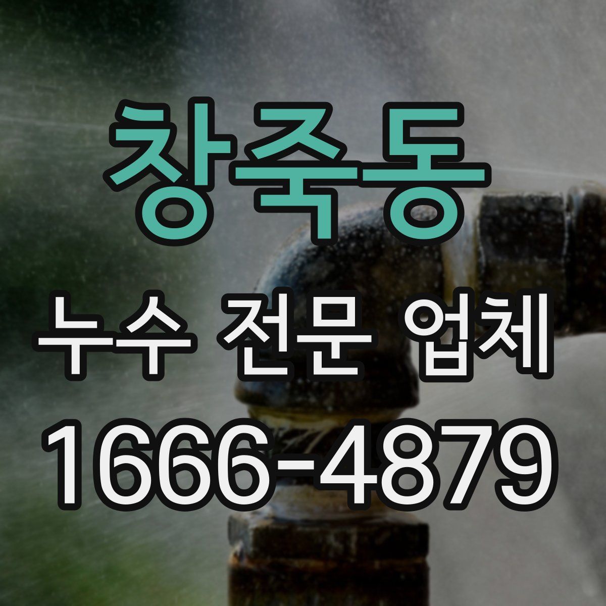 창죽동 누수 전문 업체