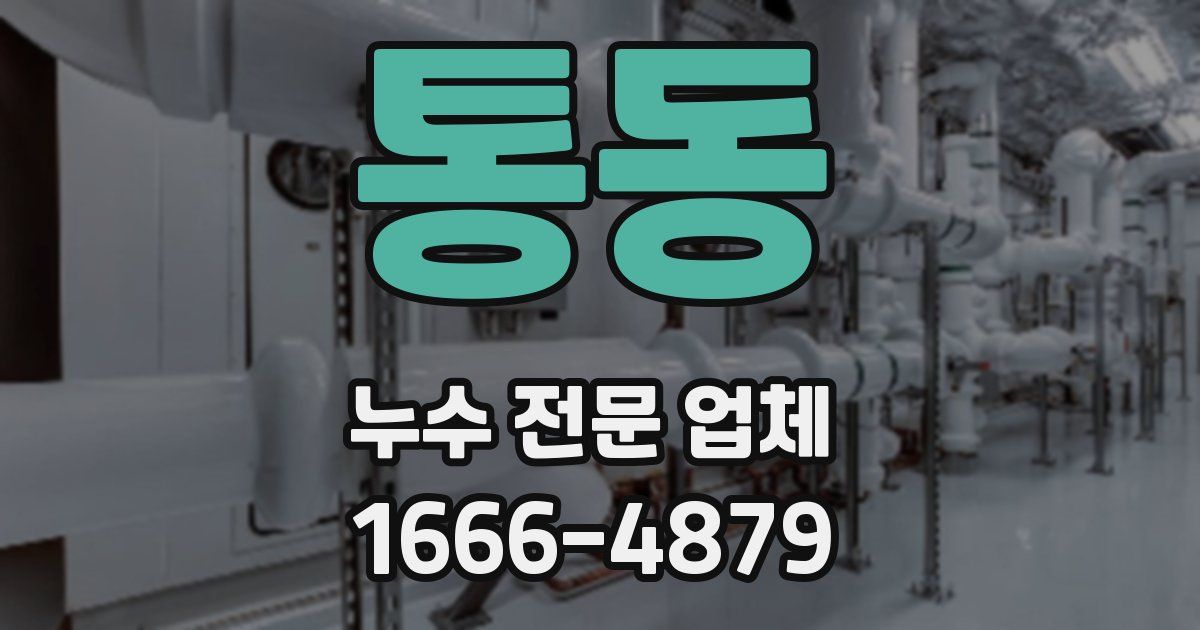 통동 누수 전문 업체