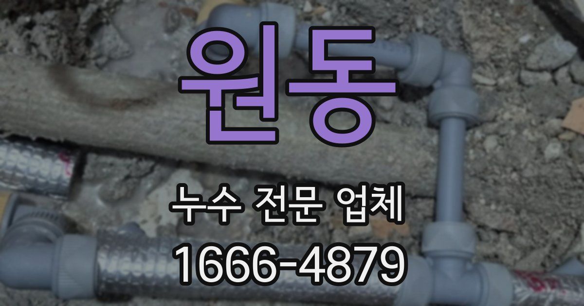 원동 누수 전문 업체