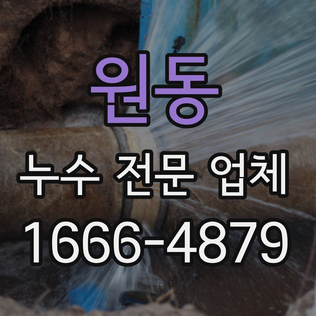 원동 누수 전문 업체
