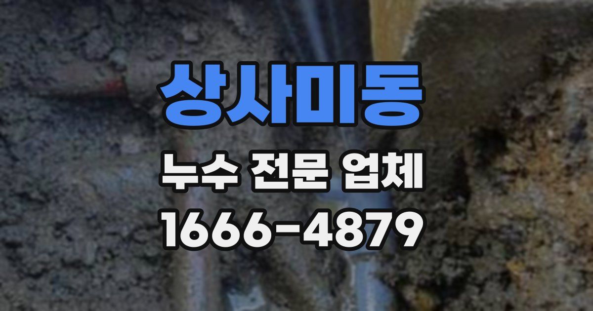상사미동 누수 전문 업체