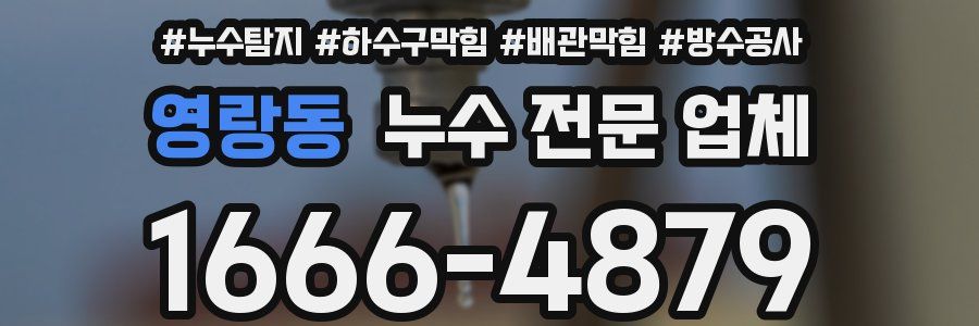 영랑동 누수 전문 업체