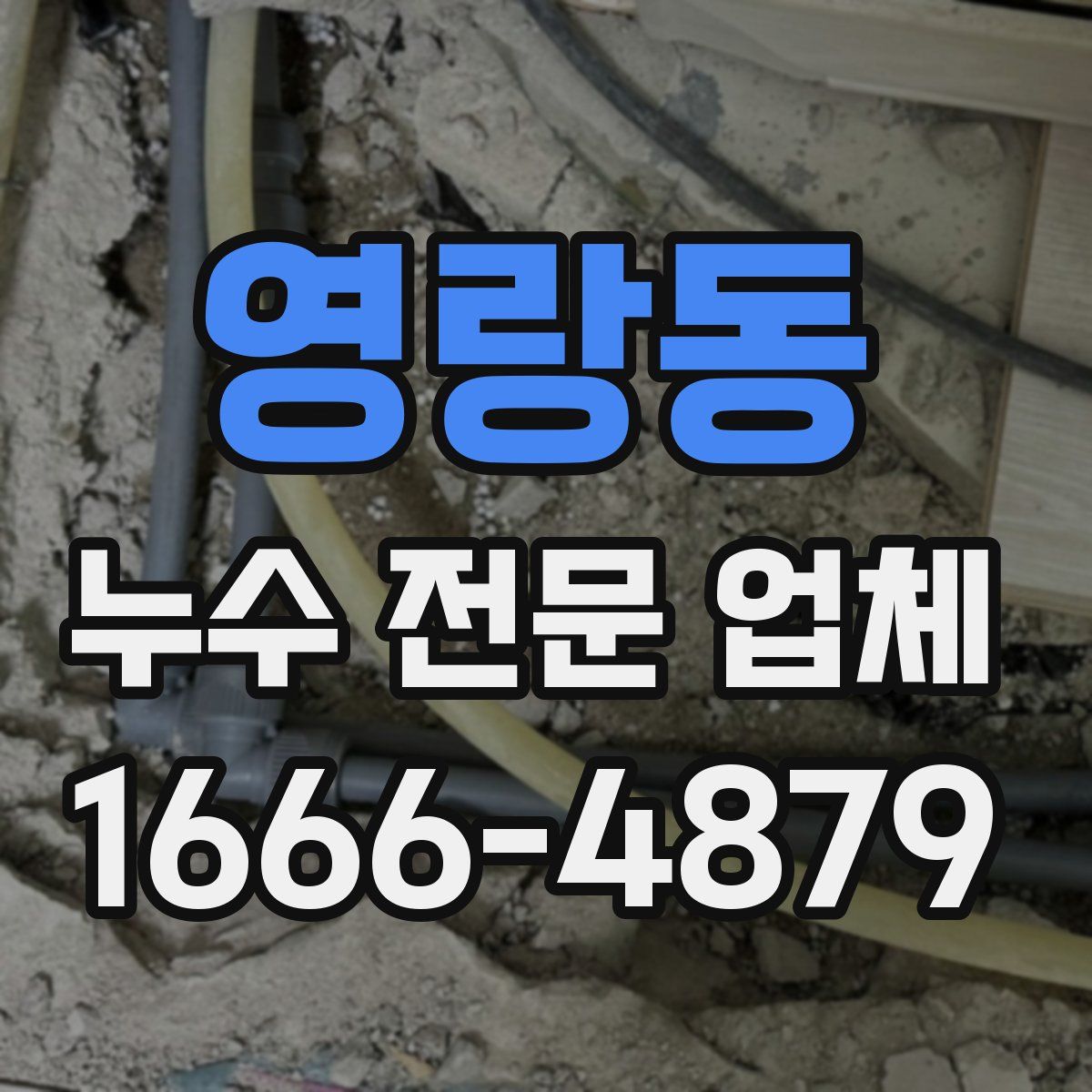 영랑동 누수 전문 업체