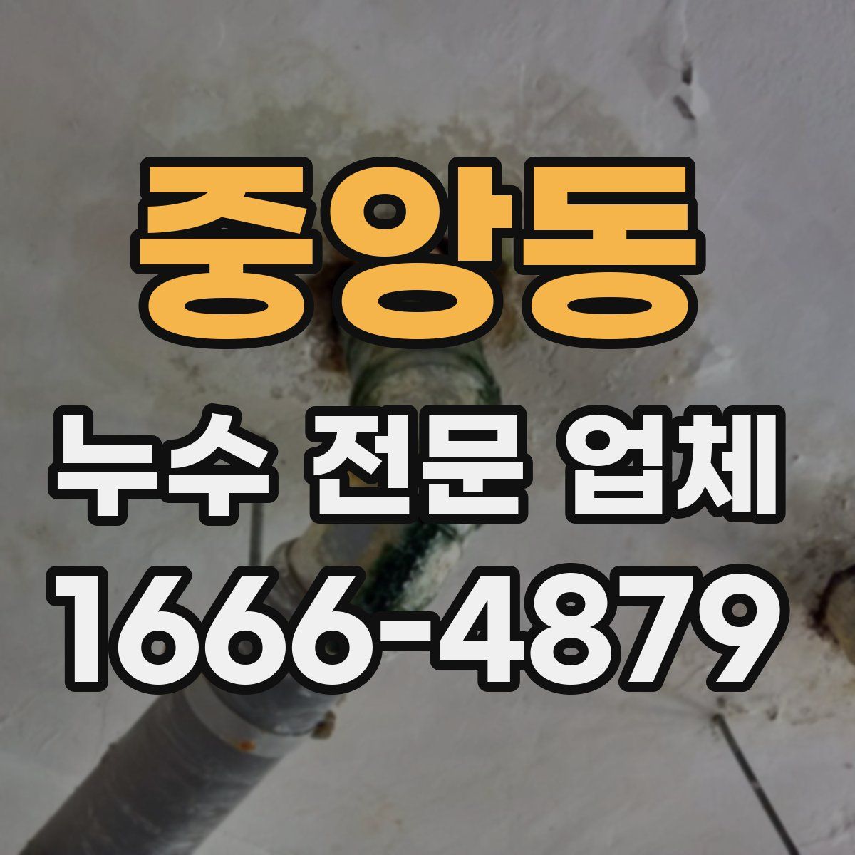 중앙동 누수 전문 업체