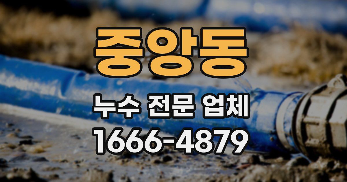 중앙동 누수 전문 업체