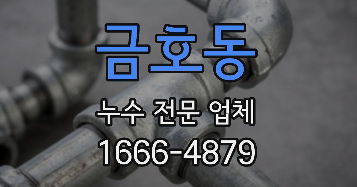 금호동 누수 전문 업체