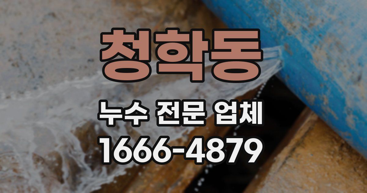 청학동 누수 전문 업체
