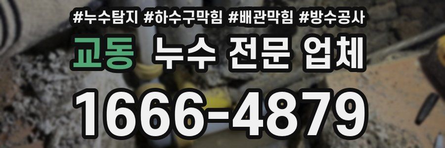 교동 누수 전문 업체