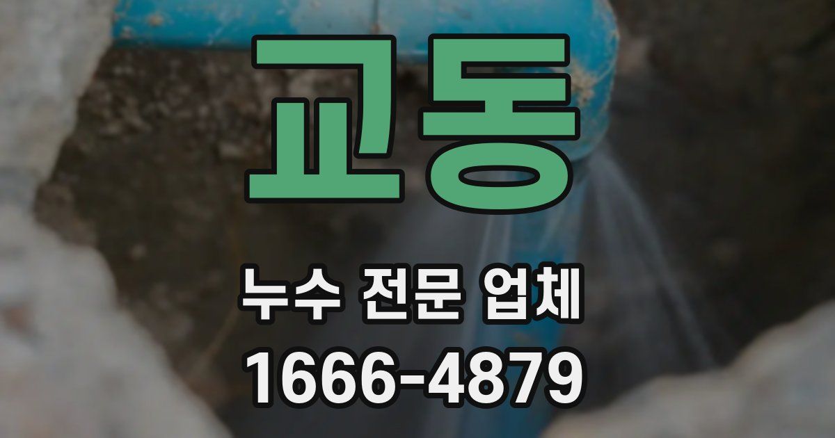 교동 누수 전문 업체