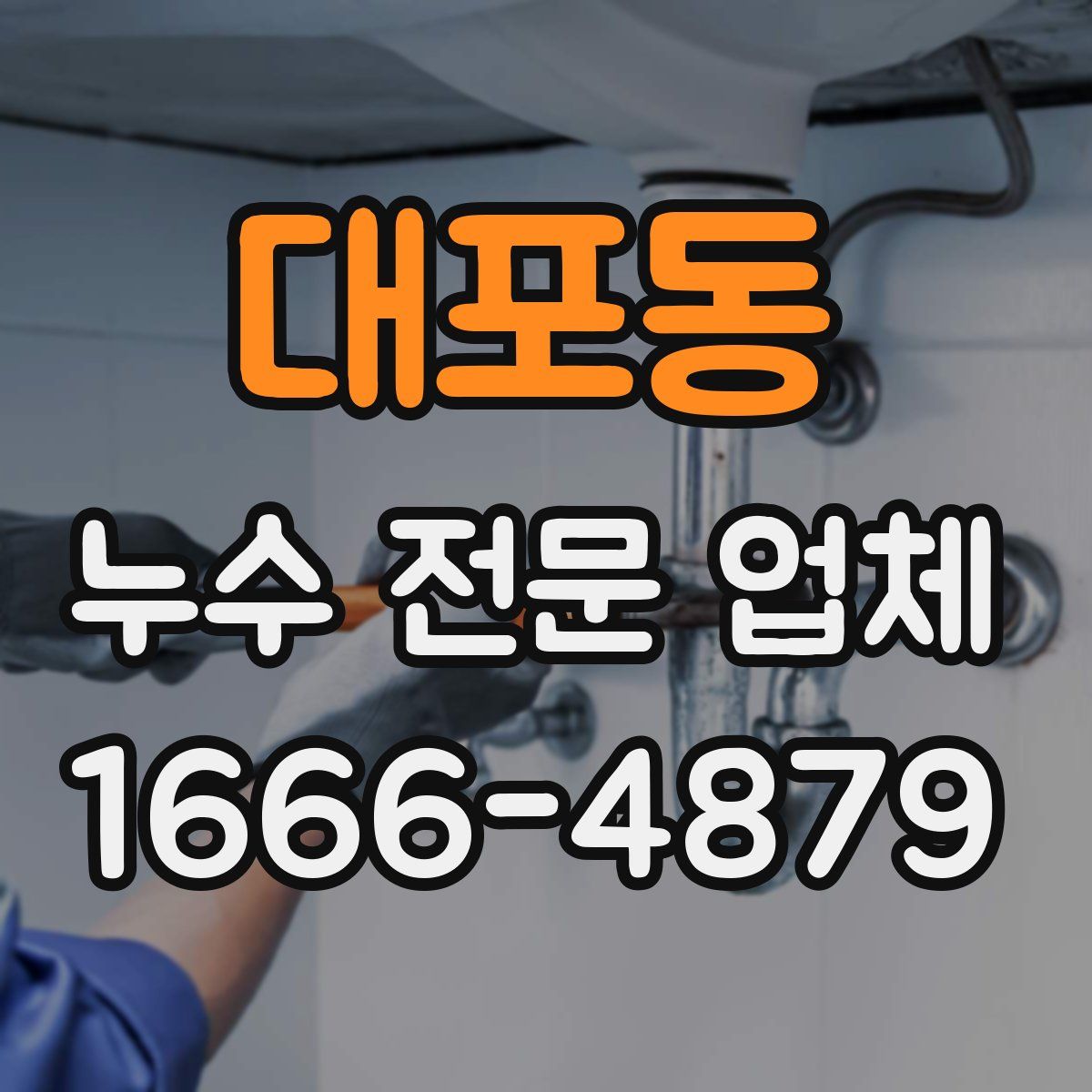 대포동 누수 전문 업체