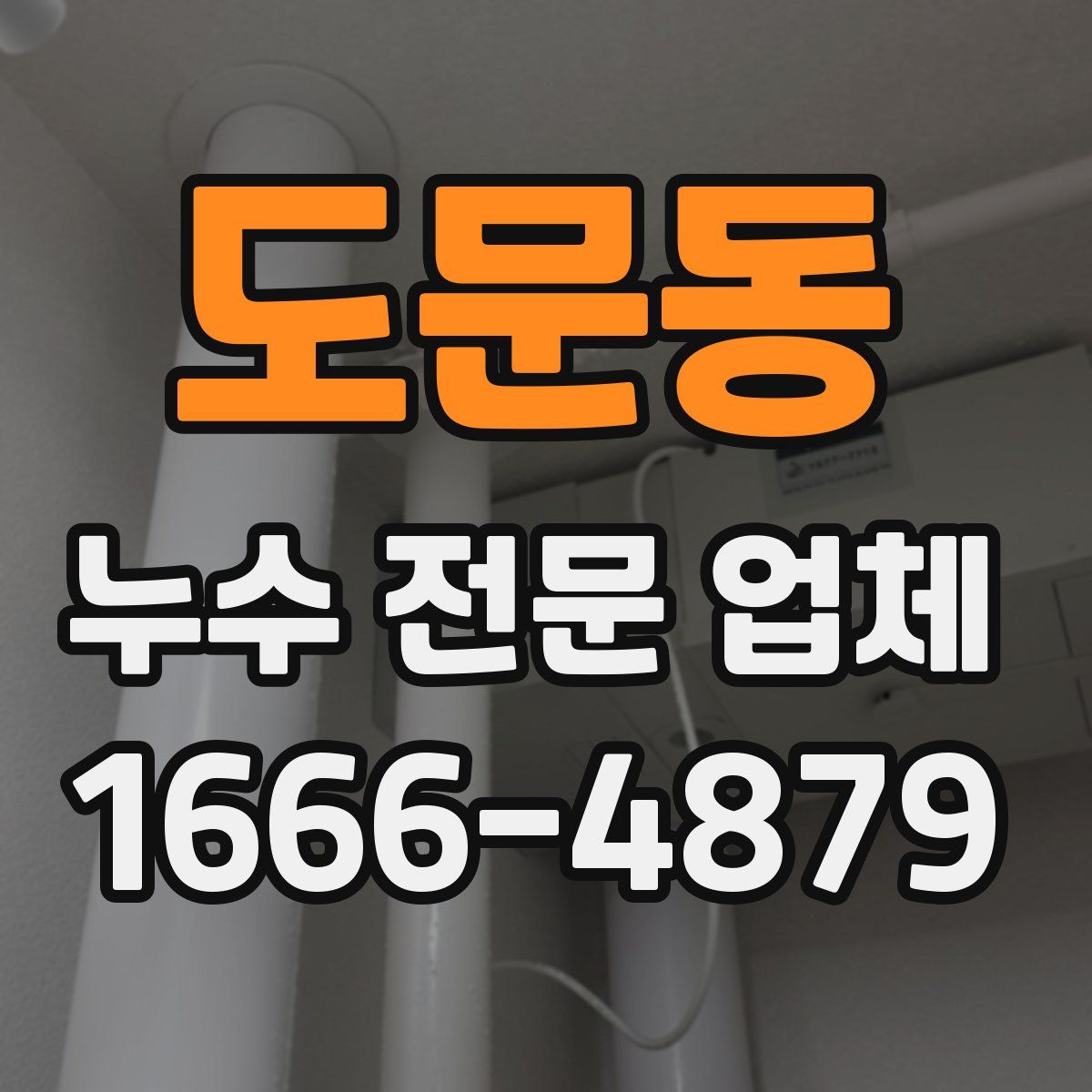 도문동 누수 전문 업체