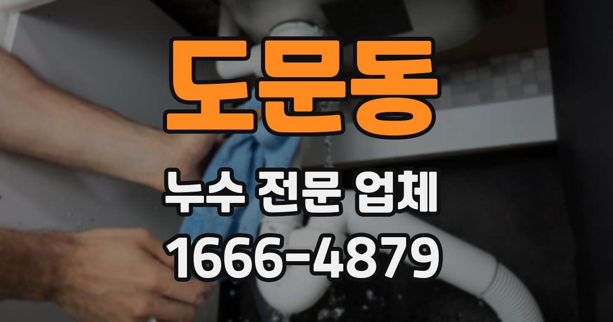 도문동 누수 전문 업체