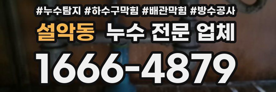 설악동 누수 전문 업체