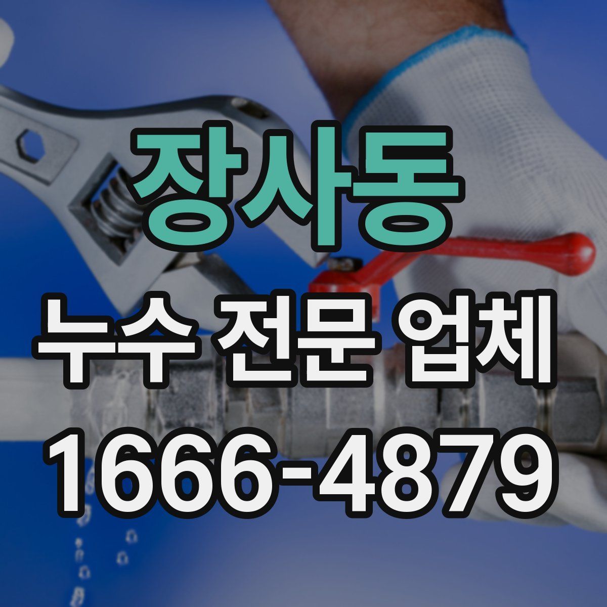 장사동 누수 전문 업체