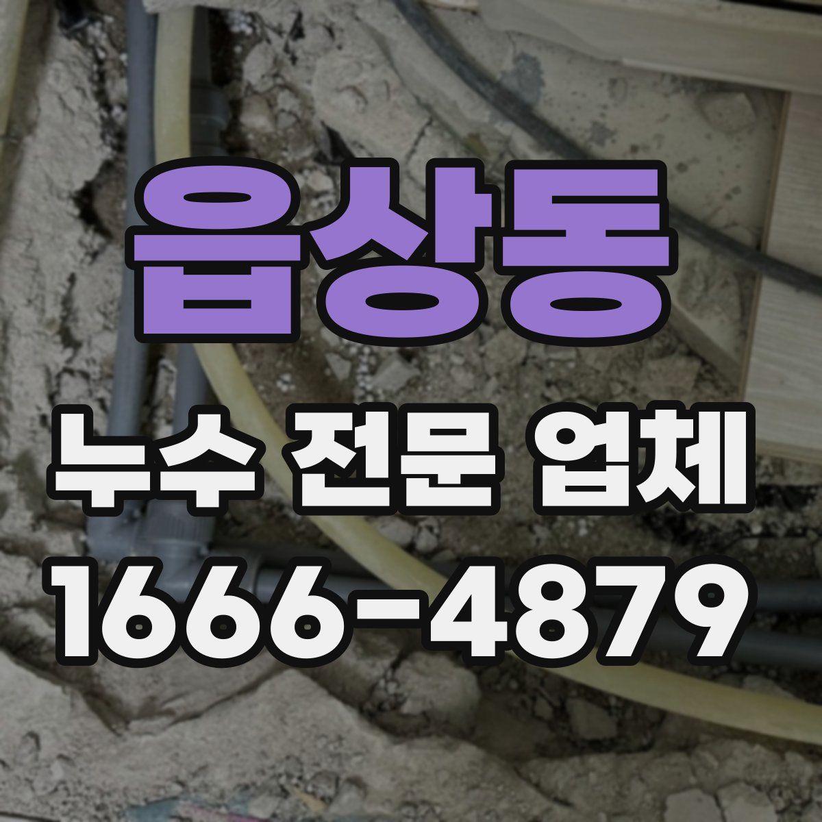 읍상동 누수 전문 업체