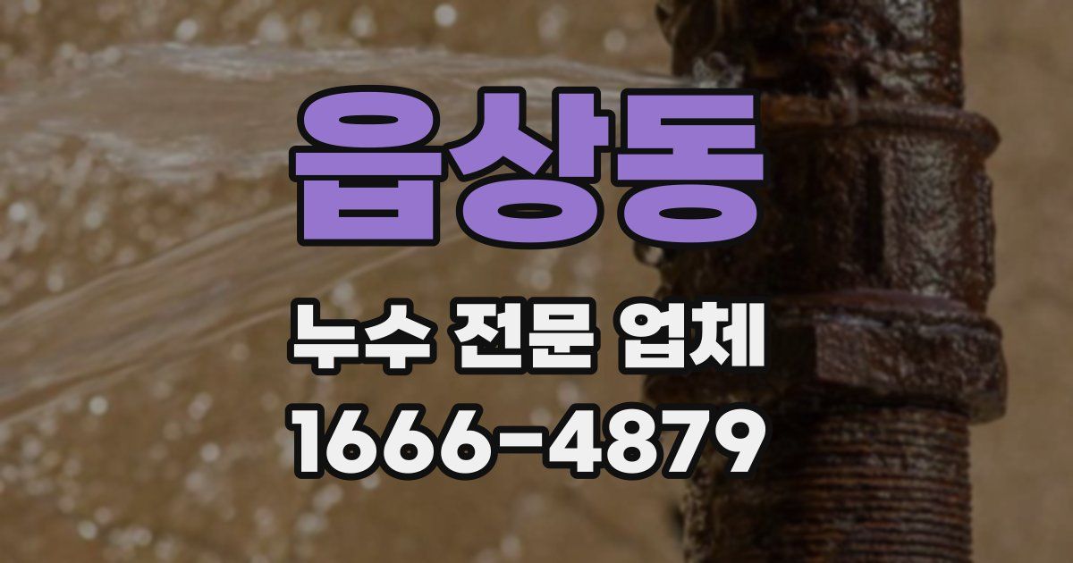 읍상동 누수 전문 업체