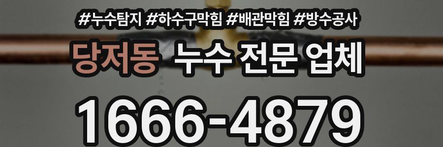 당저동 누수 전문 업체