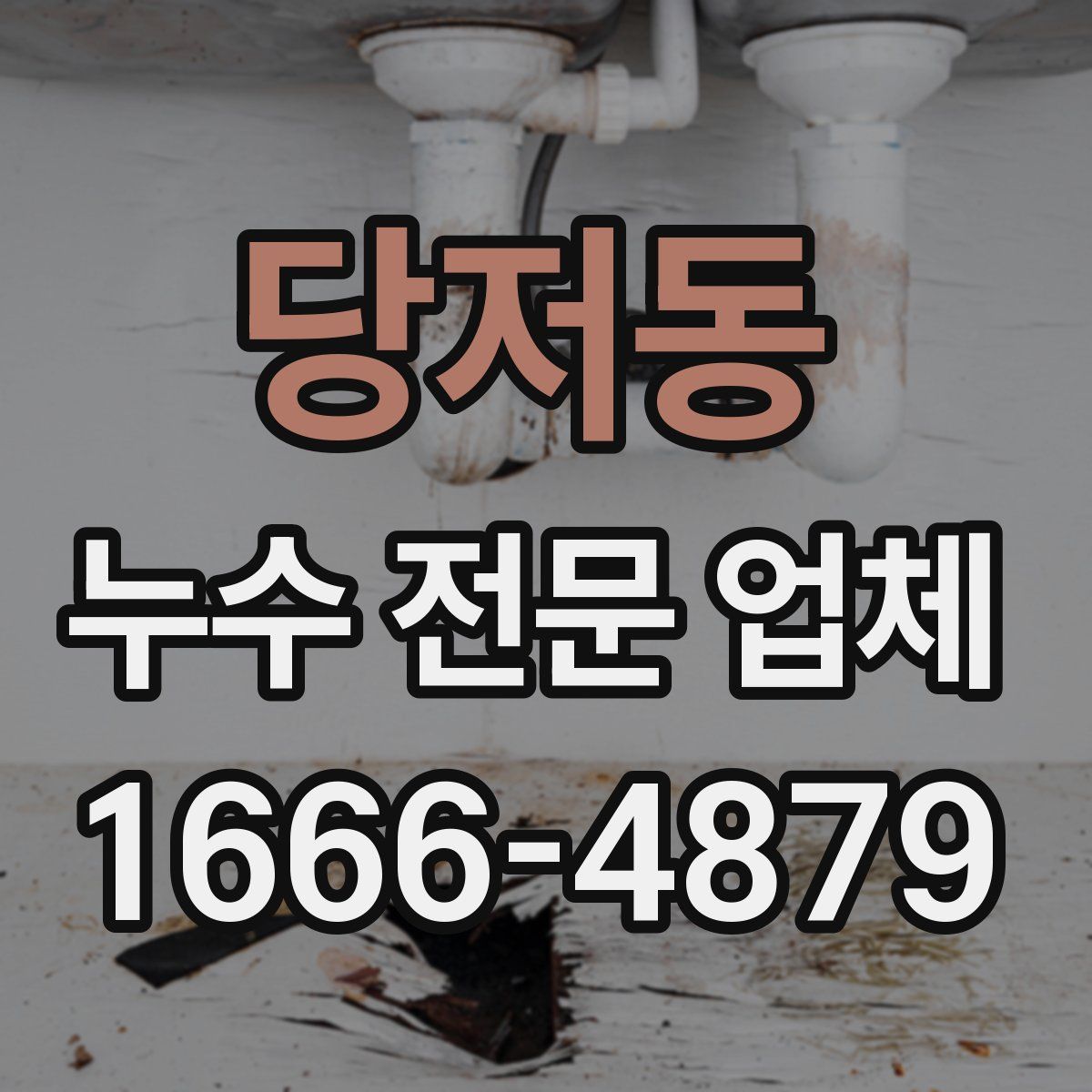 당저동 누수 전문 업체