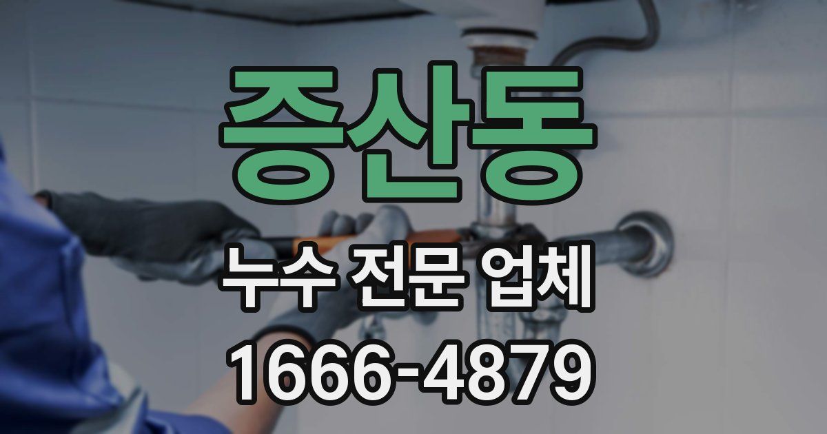 증산동 누수 전문 업체