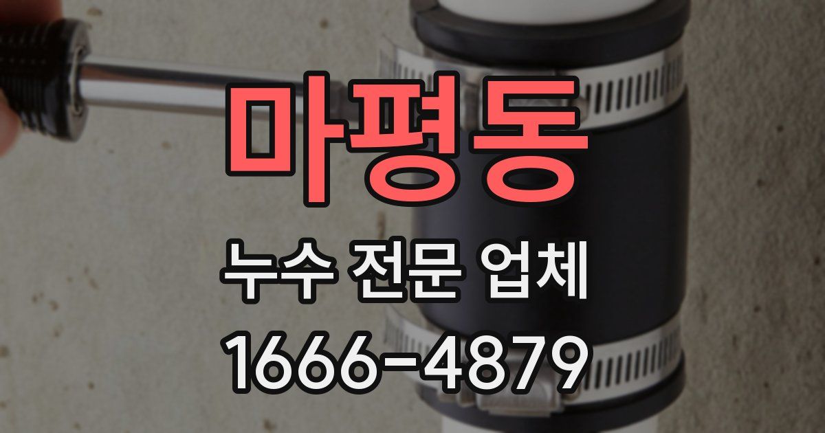 마평동 누수 전문 업체