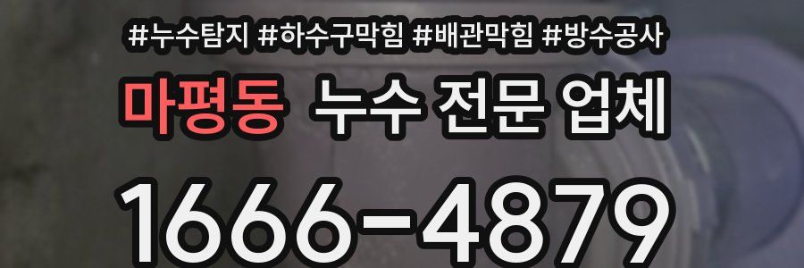 마평동 누수 전문 업체