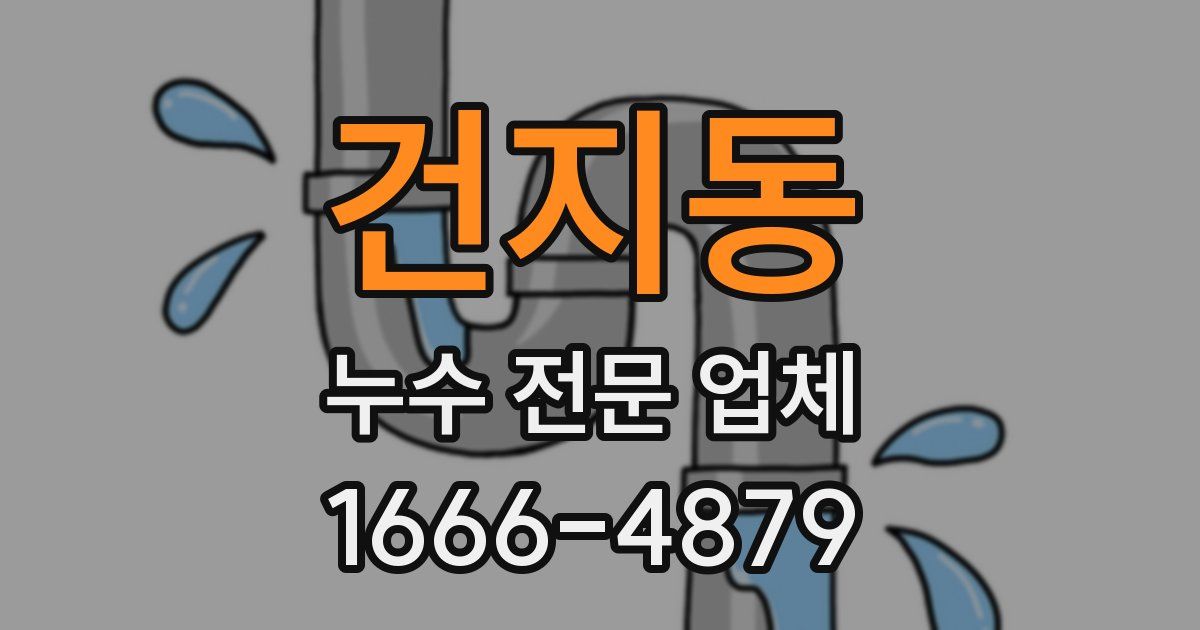 건지동 누수 전문 업체