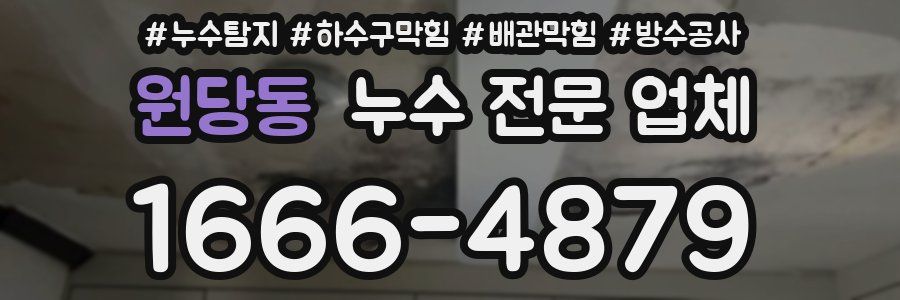 원당동 누수 전문 업체