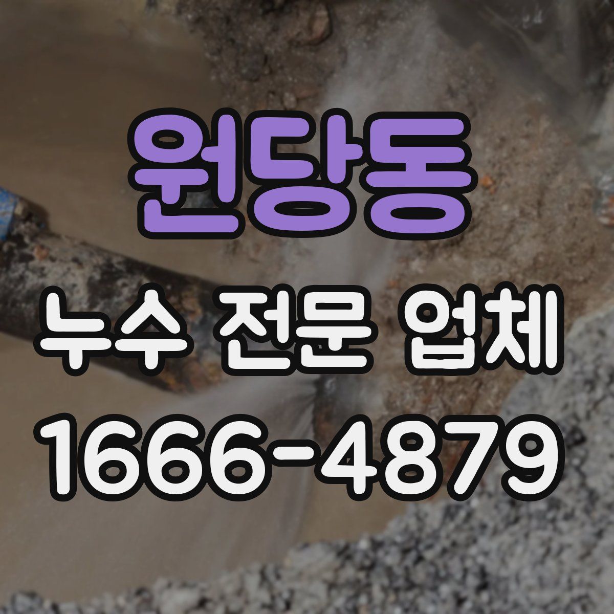 원당동 누수 전문 업체