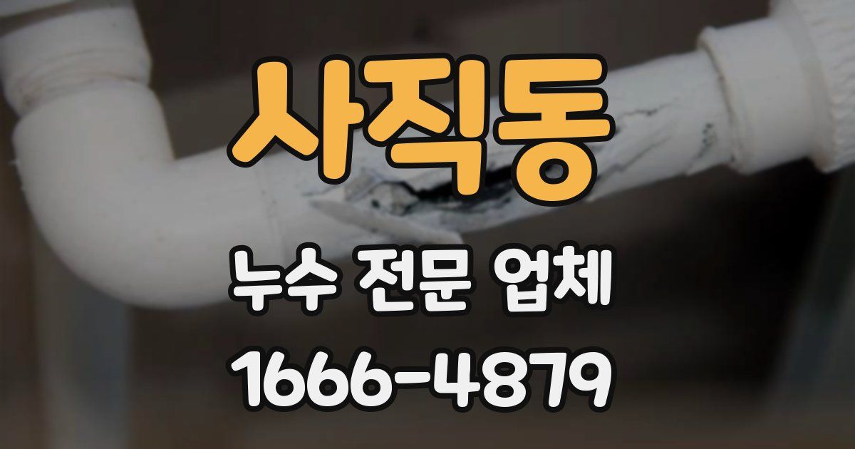 사직동 누수 전문 업체
