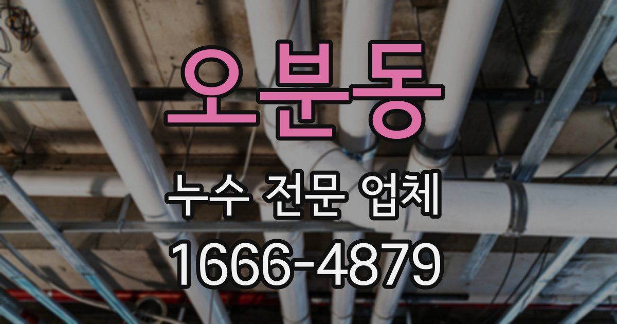 오분동 누수 전문 업체