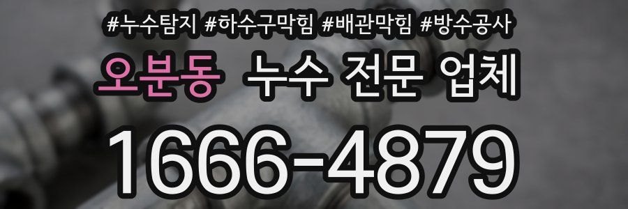 오분동 누수 전문 업체