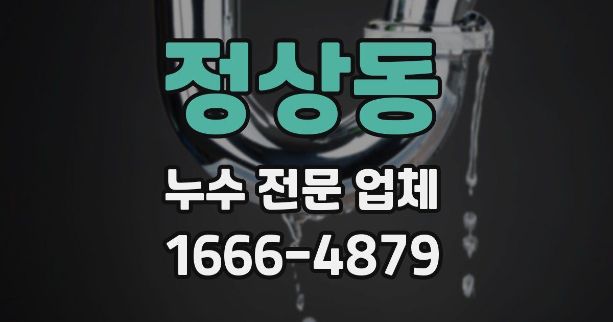 정상동 누수 전문 업체