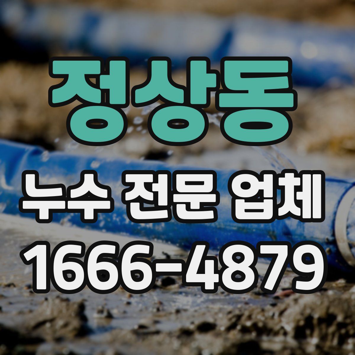 정상동 누수 전문 업체