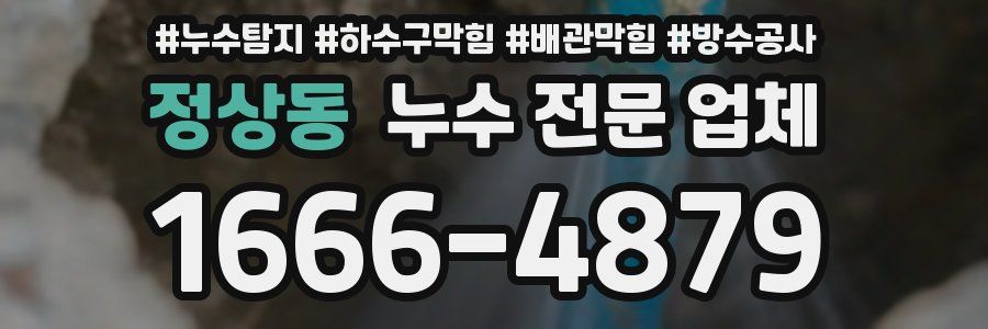 정상동 누수 전문 업체