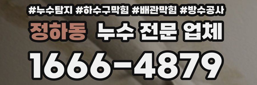 정하동 누수 전문 업체